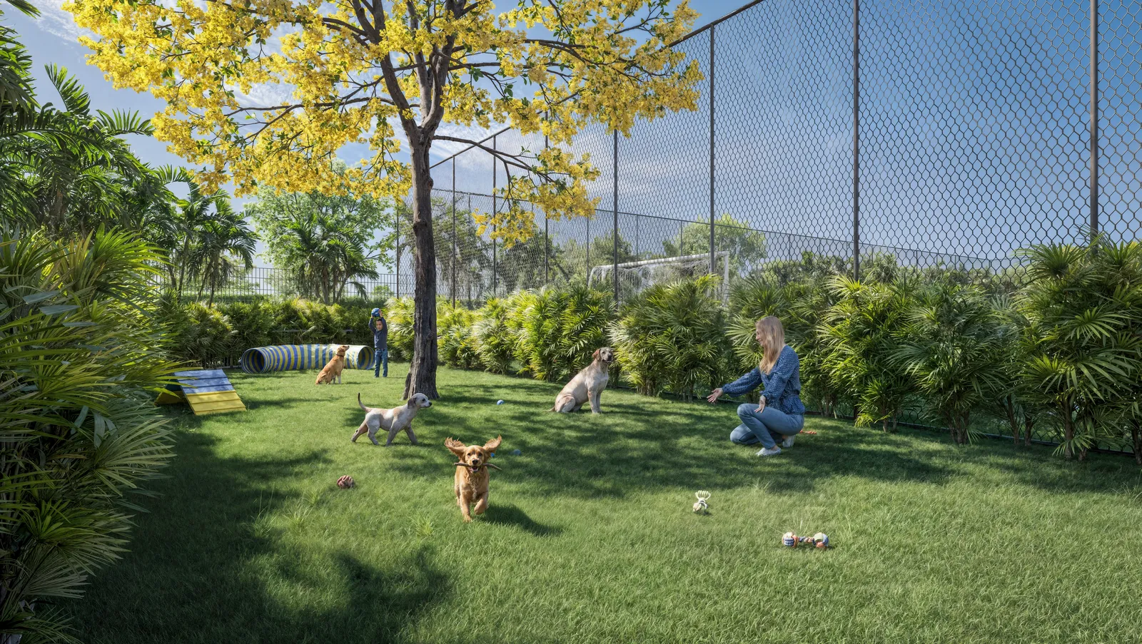 Espaço pet gramado com cachorros brincando e uma moradora