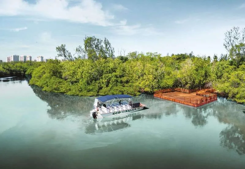 A balsa atravessando a Lagoa de Marapendi, entre a vegetação